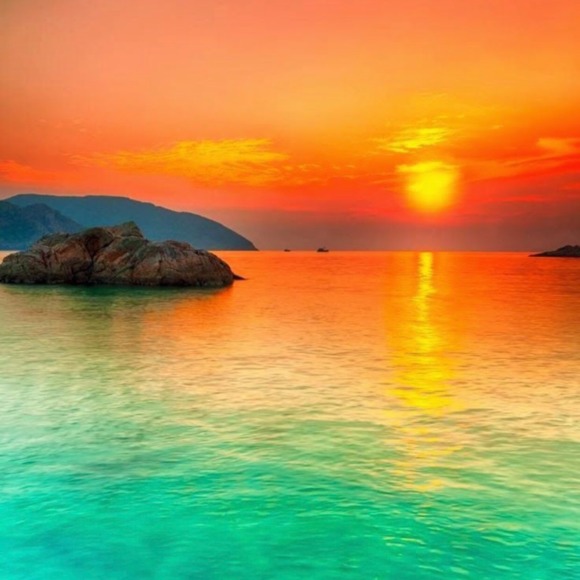 kissesbythesun